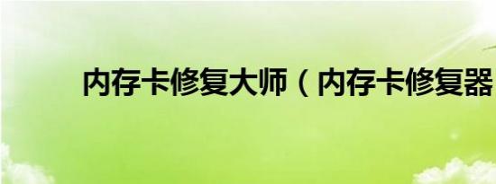 内存卡修复大师（内存卡修复器）