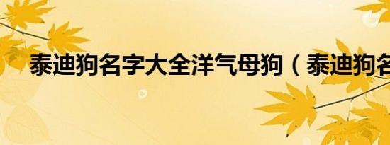 泰迪狗名字大全洋气母狗（泰迪狗名字）