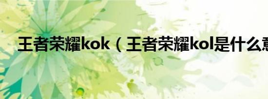 王者荣耀kok（王者荣耀kol是什么意思）