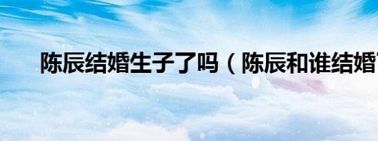 陈辰结婚生子了吗（陈辰和谁结婚了）