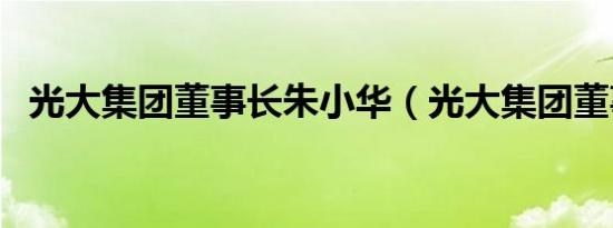 光大集团董事长朱小华（光大集团董事长）
