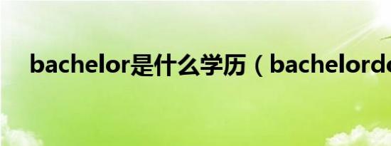 bachelor是什么学历（bachelordom）