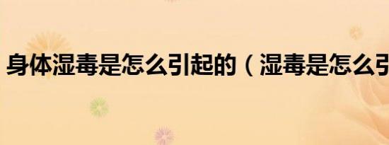身体湿毒是怎么引起的（湿毒是怎么引起的）