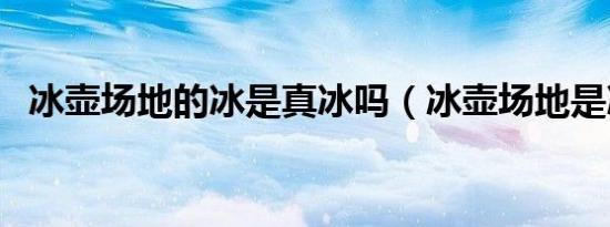 冰壶场地的冰是真冰吗（冰壶场地是冰吗）