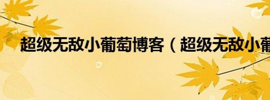 超级无敌小葡萄博客（超级无敌小葡萄）