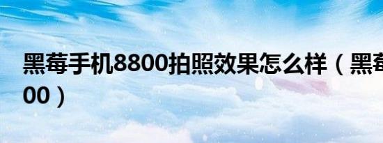 黑莓手机8800拍照效果怎么样（黑莓手机8800）