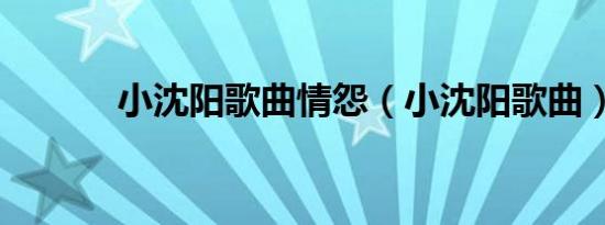 小沈阳歌曲情怨（小沈阳歌曲）