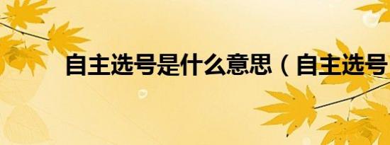 自主选号是什么意思（自主选号）