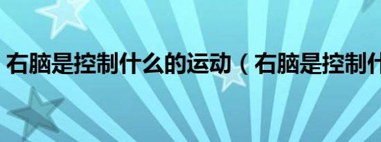 右脑是控制什么的运动（右脑是控制什么的）