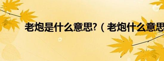 老炮是什么意思?（老炮什么意思）