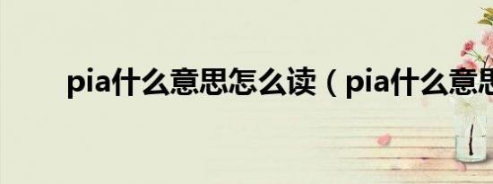 pia什么意思怎么读（pia什么意思）