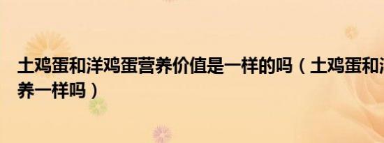 土鸡蛋和洋鸡蛋营养价值是一样的吗（土鸡蛋和洋鸡蛋的营养一样吗）