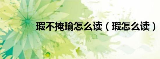 瑕不掩瑜怎么读（瑕怎么读）