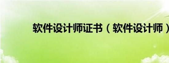 软件设计师证书（软件设计师）