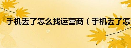 手机丢了怎么找运营商（手机丢了怎么找）