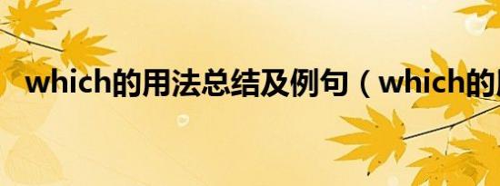 which的用法总结及例句（which的用法）