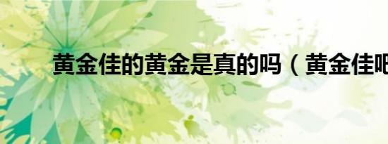 黄金佳的黄金是真的吗（黄金佳吧）