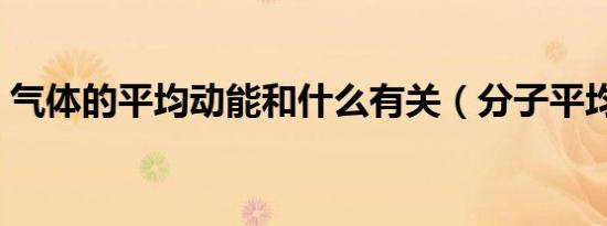 气体的平均动能和什么有关（分子平均动能）