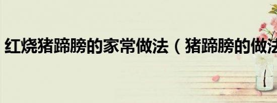 红烧猪蹄膀的家常做法（猪蹄膀的做法大全）