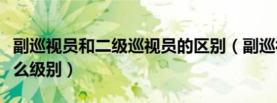 副巡视员和二级巡视员的区别（副巡视员是什么级别）