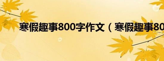 寒假趣事800字作文（寒假趣事800）