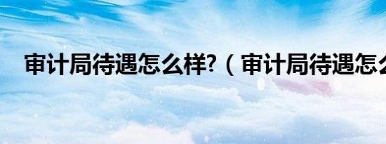 审计局待遇怎么样?（审计局待遇怎么样）