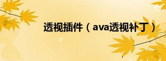 透视插件（ava透视补丁）