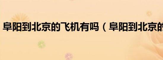 阜阳到北京的飞机有吗（阜阳到北京的飞机）
