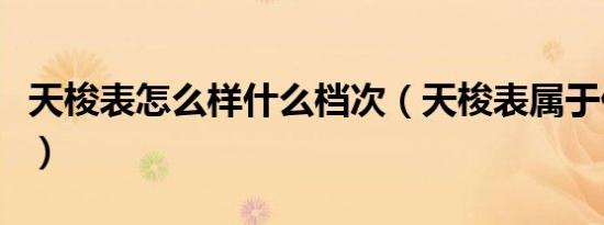 天梭表怎么样什么档次（天梭表属于什么档次）
