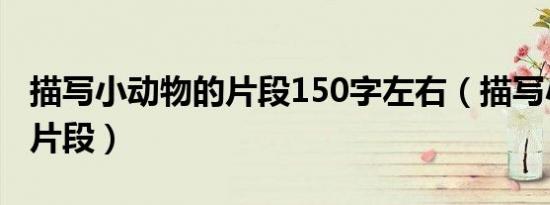 描写小动物的片段150字左右（描写小动物的片段）