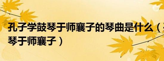 孔子学鼓琴于师襄子的琴曲是什么（孔子学鼓琴于师襄子）