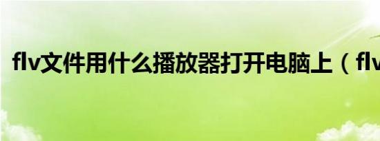 flv文件用什么播放器打开电脑上（flv文件）