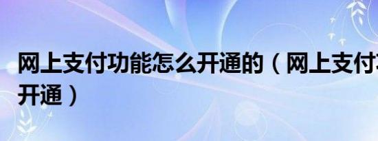 网上支付功能怎么开通的（网上支付功能怎么开通）