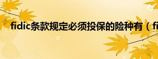 fidic条款规定必须投保的险种有（fidic）