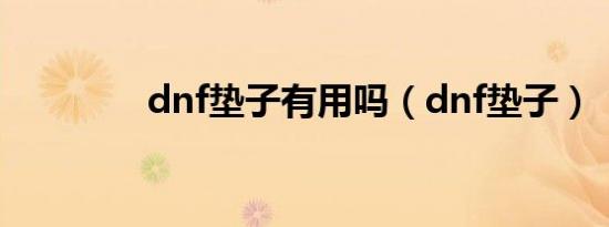 dnf垫子有用吗（dnf垫子）