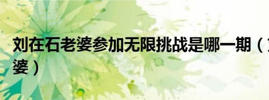 刘在石老婆参加无限挑战是哪一期（刘在石老婆）