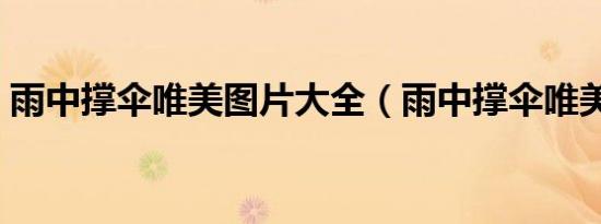 雨中撑伞唯美图片大全（雨中撑伞唯美图片）