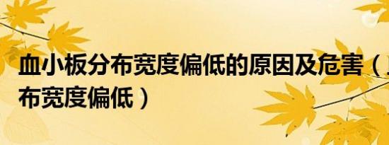 血小板分布宽度偏低的原因及危害（血小板分布宽度偏低）