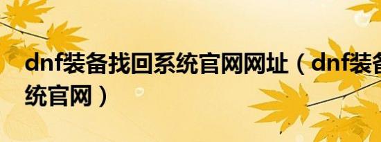 dnf装备找回系统官网网址（dnf装备找回系统官网）