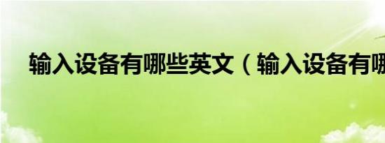 输入设备有哪些英文（输入设备有哪些）