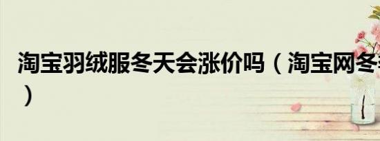 淘宝羽绒服冬天会涨价吗（淘宝网冬季羽绒服）