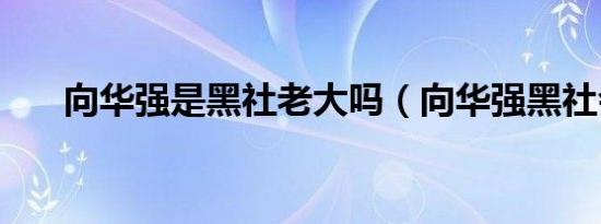 向华强是黑社老大吗（向华强黑社会）