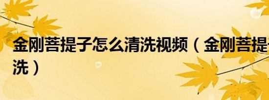 金刚菩提子怎么清洗视频（金刚菩提子怎么清洗）