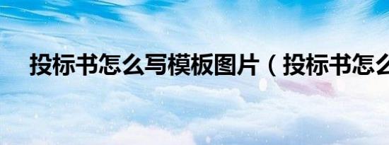 投标书怎么写模板图片（投标书怎么写）