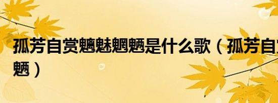 孤芳自赏魑魅魍魉是什么歌（孤芳自赏魑魅魍魉）
