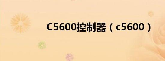 C5600控制器（c5600）