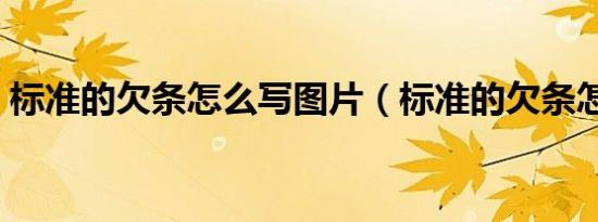 标准的欠条怎么写图片（标准的欠条怎么写）
