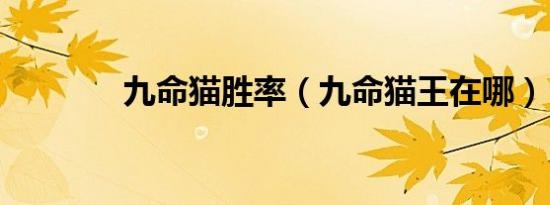 九命猫胜率（九命猫王在哪）