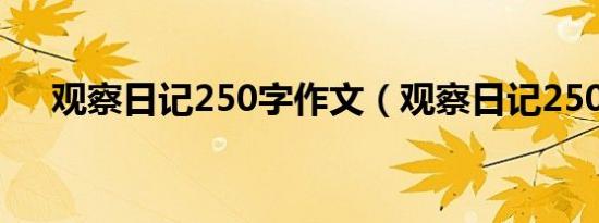 观察日记250字作文（观察日记250字）