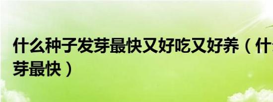 什么种子发芽最快又好吃又好养（什么种子发芽最快）